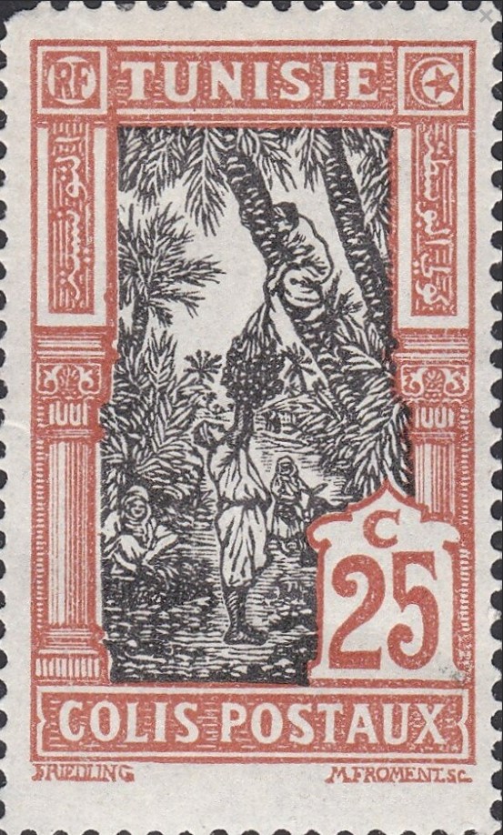 Cueillete des dattes