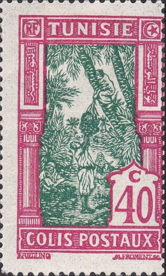 Cueillete des dattes