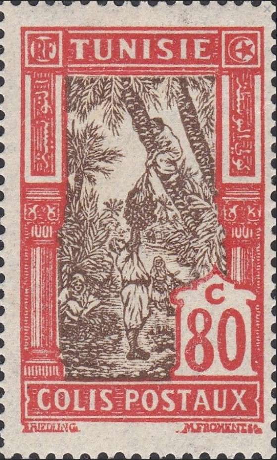 Cueillete des dattes