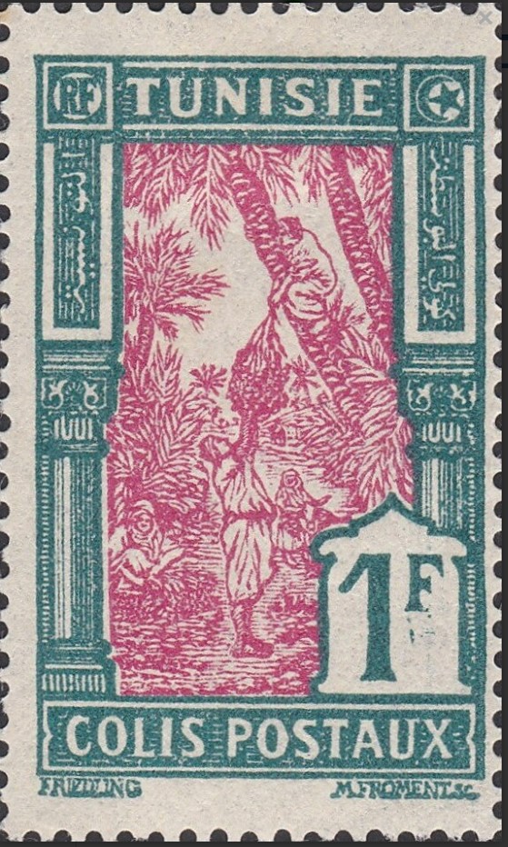 Cueillete des dattes