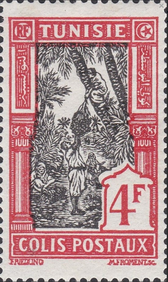 Cueillete des dattes