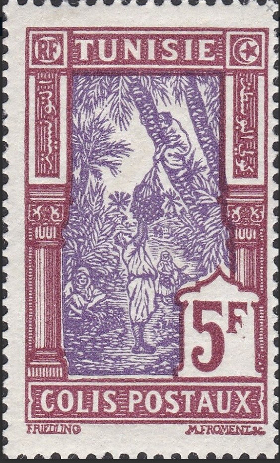 Cueillete des dattes