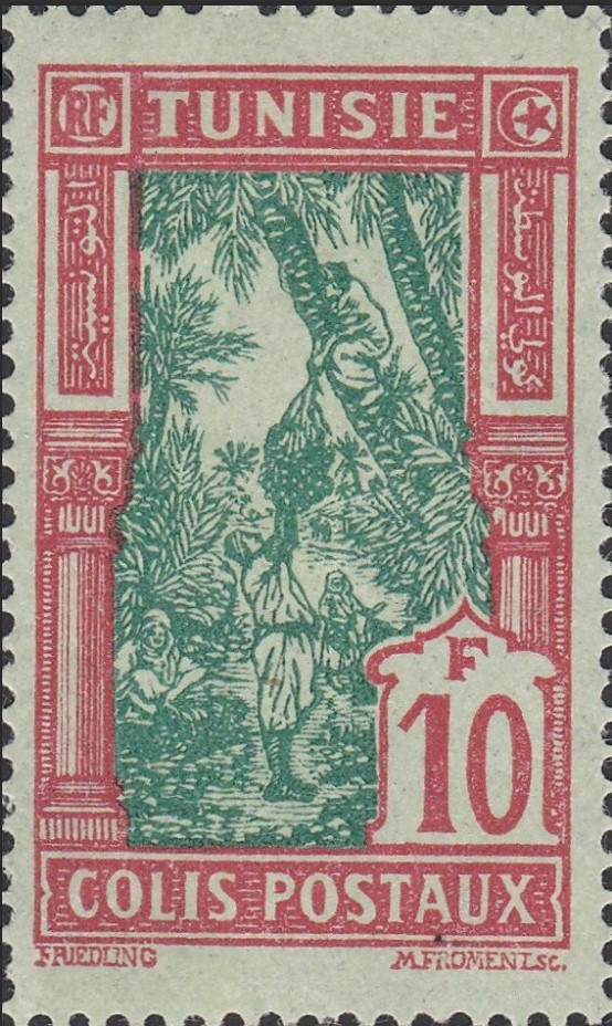 Cueillete des dattes