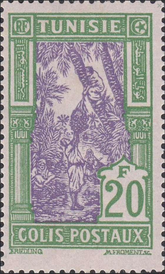 Cueillete des dattes