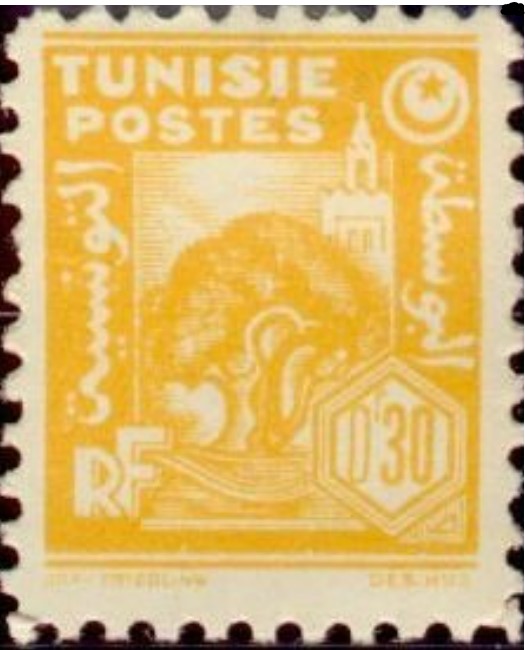 Olivier et mosquée - 30 Centimes