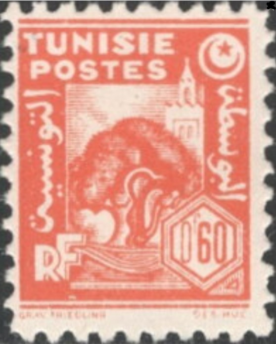 Olivier et mosquée - 60 Centimes