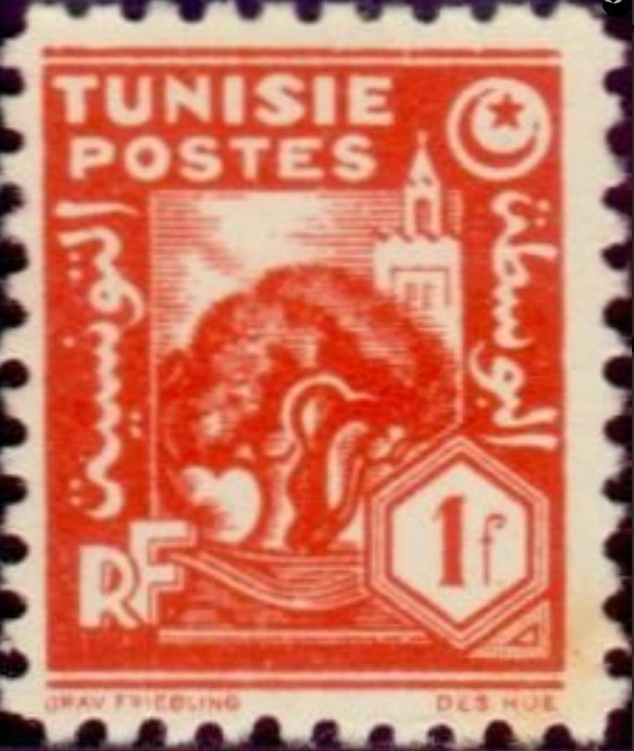 Olivier et mosquée - 1F