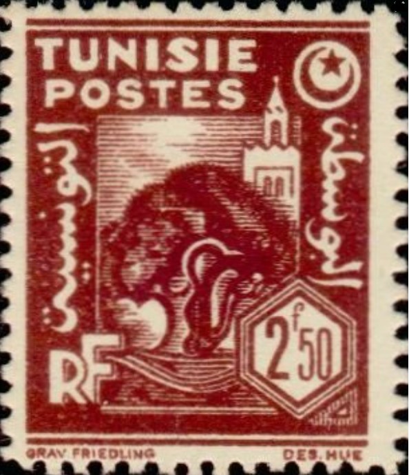 Olivier et mosquée - 2.5F