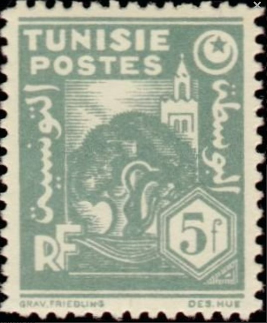 Olivier et mosquée - 5F