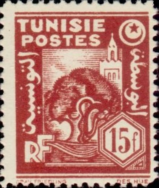 Olivier et mosquée - 15F