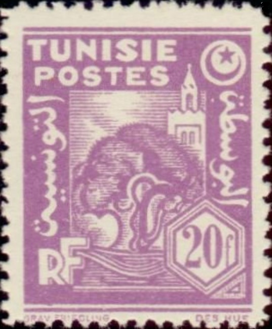 Olivier et mosquée - 20F