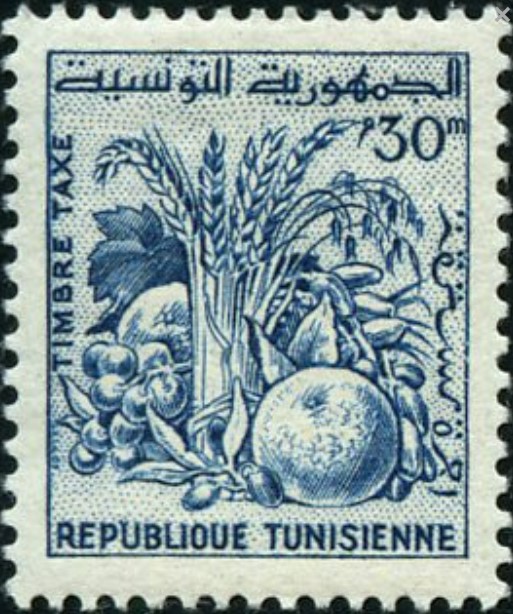 Produits de Tunisie - 10 Millim tunisien