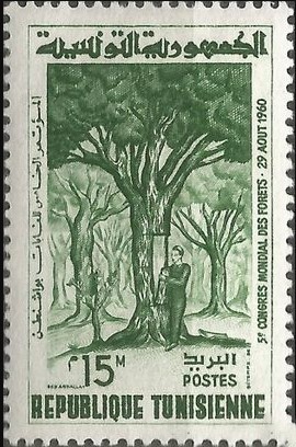 5ème Congrès forestier mondial à Seattle - 15 Millimes