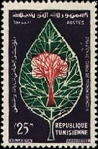 5ème Congrès forestier mondial à Seattle - 25 Millimes