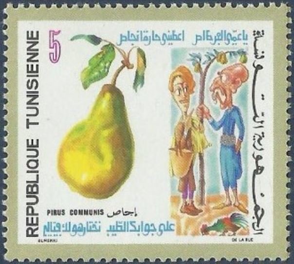 Poirier (Pirus communis)