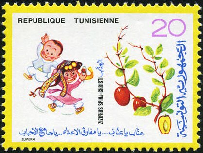 Flore et Faune. Ziziphus spinachristi