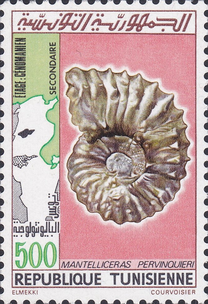 La Tunisie paléontologique, Animaux fossiles de la préhistoire