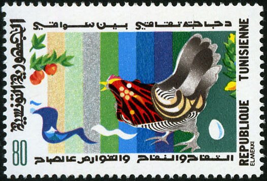 Contes et comptines de Tunisie - 80 millimes