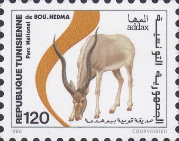 Protection de la nature. Addax-Parc de Bou-Hedma