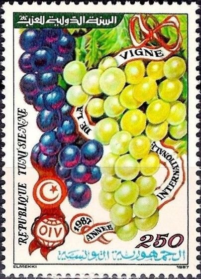 Année Internationale de la vigne