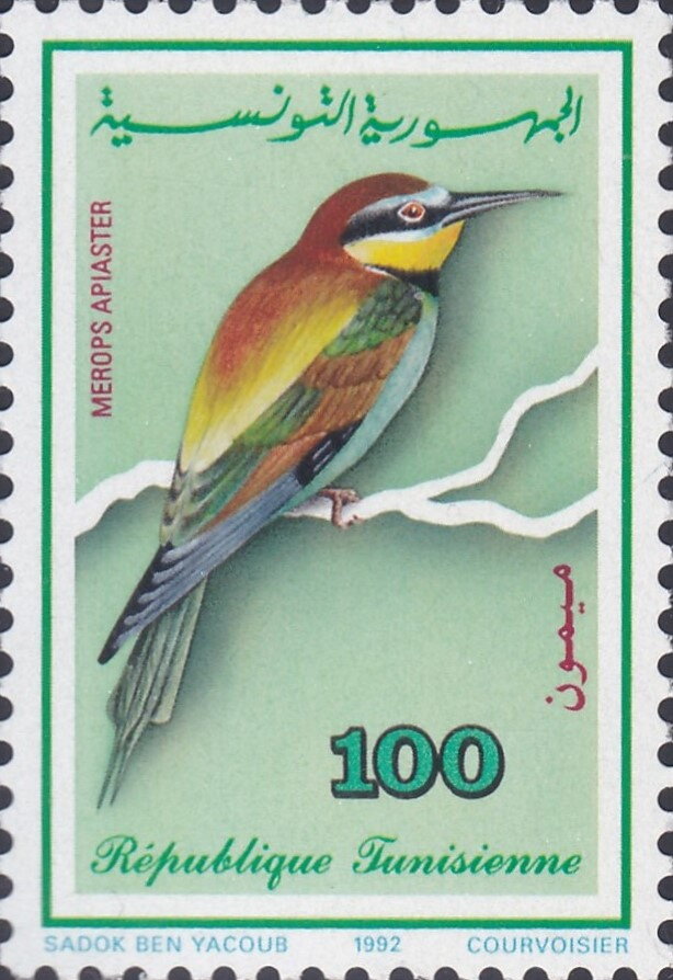 Les oiseaux-Guêpier d'Europe - Merops apiaster