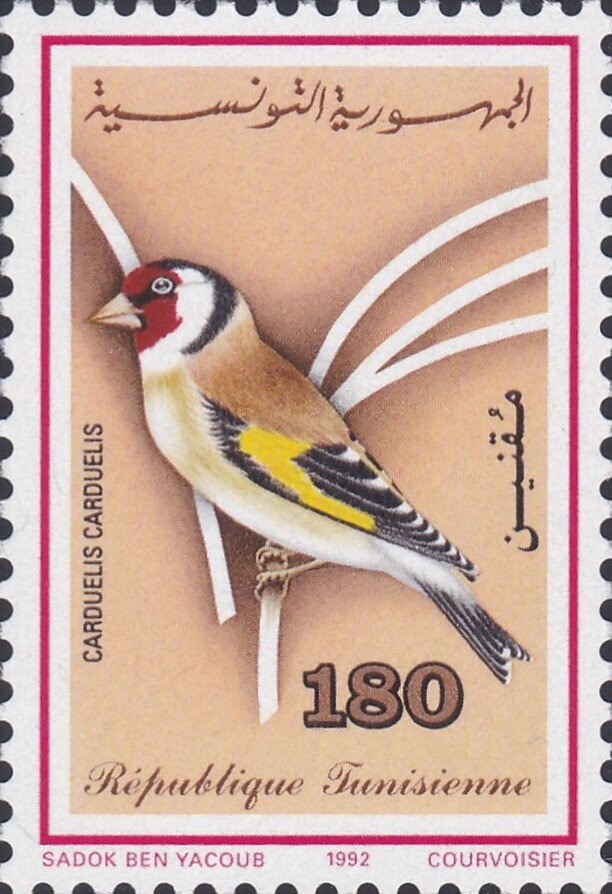 Les oiseaux-Chardonneret élégant - Carduelis carduelis