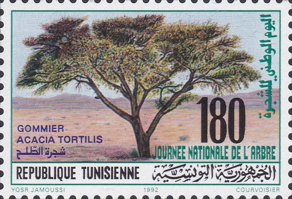 Journée mondiale de l'arbre