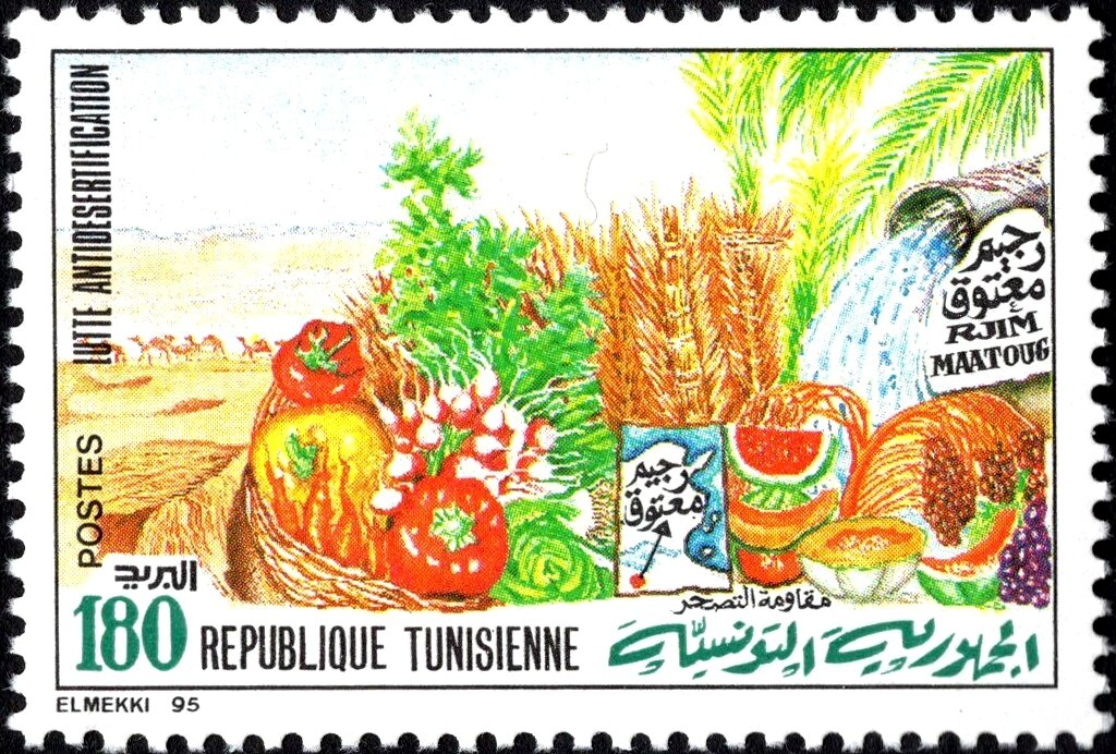 Lutte contre la désertification — Rjim Maatoug