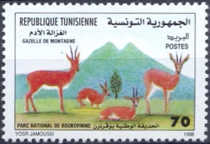 Journée mondiale de la diversité biologique: Parc National Boukornine