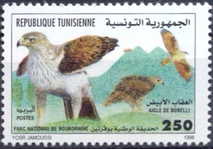 Journée mondiale de la diversité biologique: Aigle de Bonelli -Aquila fasciata