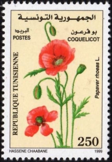 Coquelicot