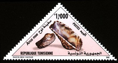 Arca noe - Safinet Nouh