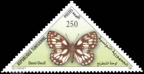 papillon Le Demi-Deuil - Melanargia galathea