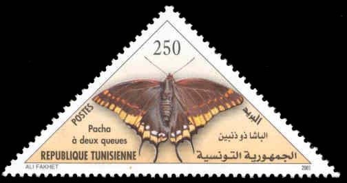 papillon Le Pacha à deux queues - Charaxes jasius