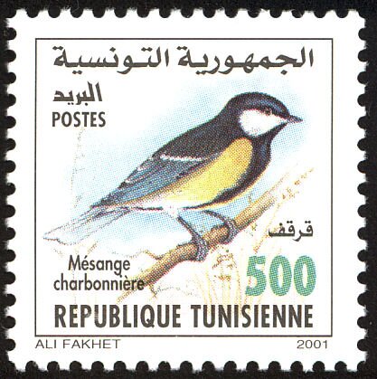 Mésange charbonnière (Parus major)