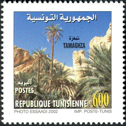 oasis de montagne de Tamaghza