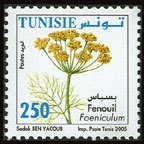 Fenouil (Foeniculum vulgare)