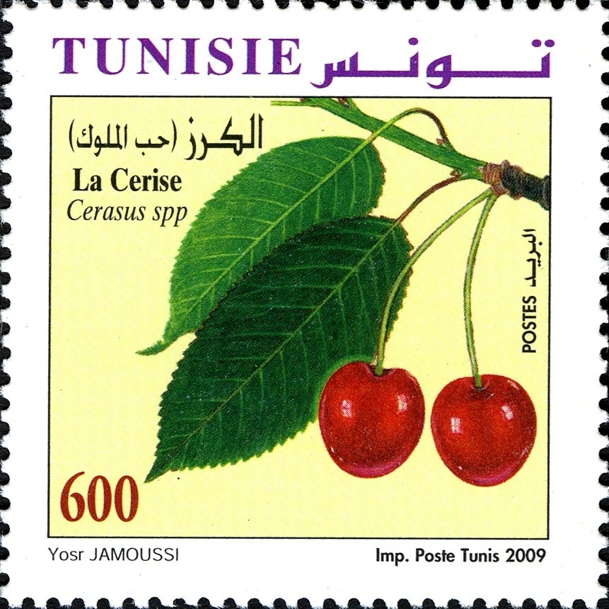 cerise (Cerasus spp)