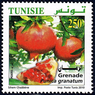 L'Agriculture Biologique en Tunisie : Grenade (Punica granatum)