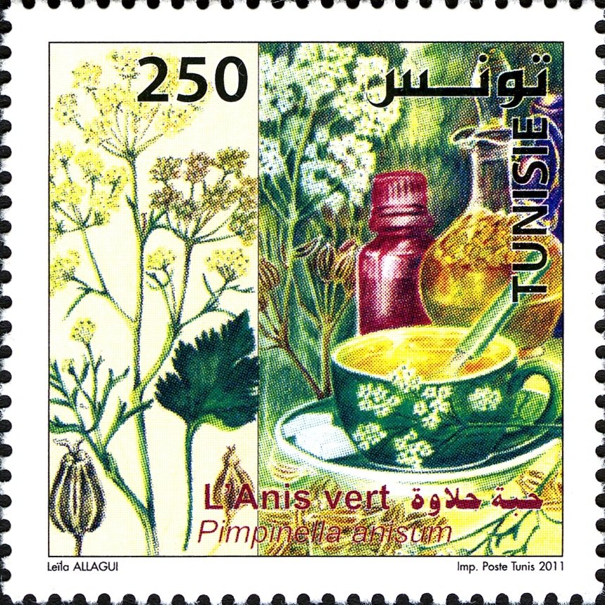 Plantes Médicinales : l'Anis vert