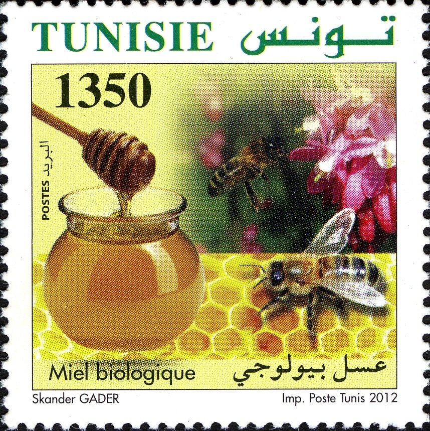 Agriculture Biologique en Tunisie : Le Miel