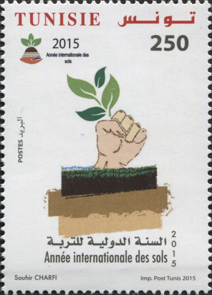 Année internationale des sols : Des sols sains pour une vie saine