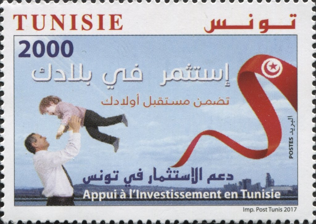 Appui à l'Investissement en Tunisie