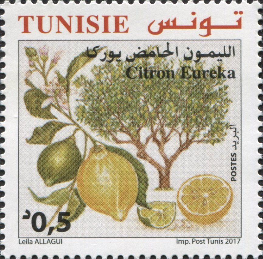 Le Citron Amer Eureka