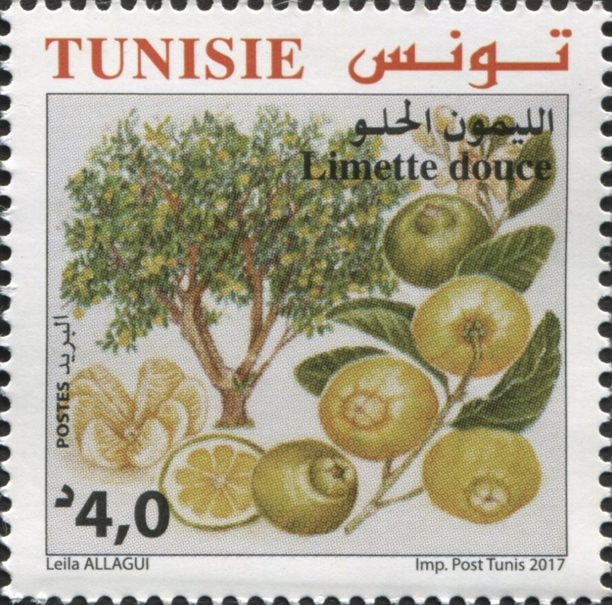 le Citron doux Bergamote