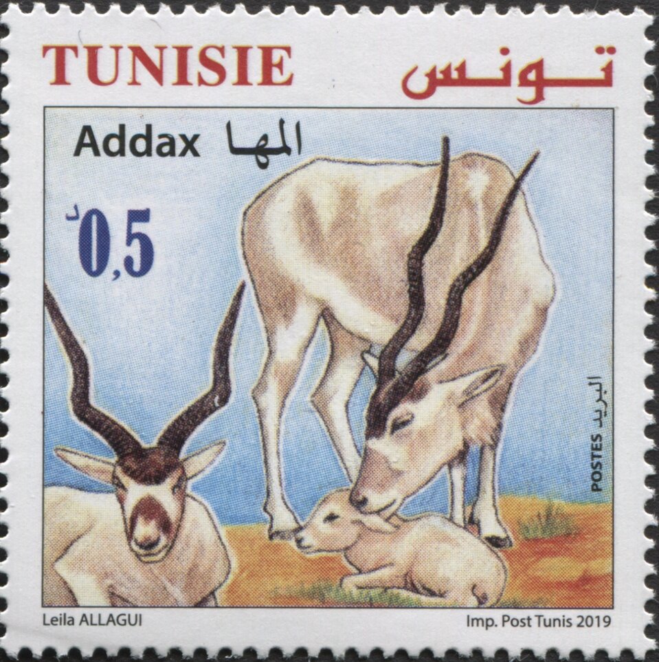 Addax