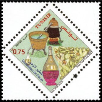 Distillation de Fleurs (Fleur d'oranger)