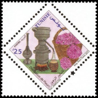 Distillation de Fleurs (Rose)