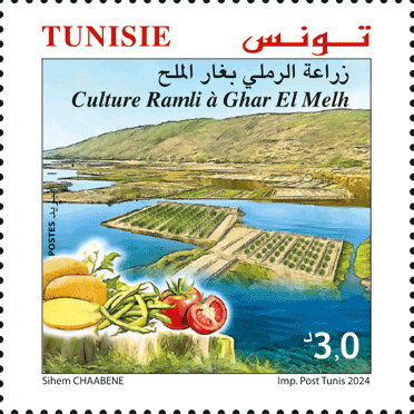 Cultures Ramli de Ghar El Melh à Bizerte 