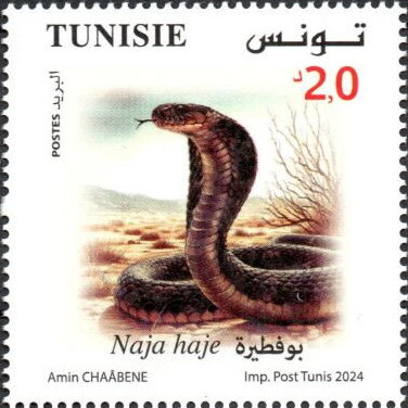 Animaux en danger d’extinction - Naja haje (Cobra d'Égypte)